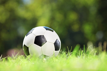 Fototapeta na wymiar Shot of a soccer ball on a grass