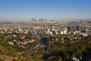 Fototapeta premium Downtown LA Los Angeles skyline California