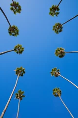 Wandcirkels aluminium LA Los Angeles palmbomen op een rij typisch Californië © lunamarina