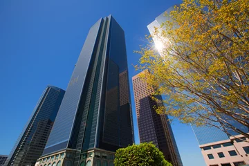  LA Los angeles downtown skyscrapers buildings © lunamarina