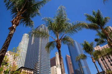 Wandcirkels tuinposter LA Downtown Los Angeles Pershing Square palmbomen © lunamarina