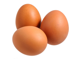 Chicken eggs isolated