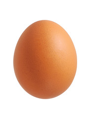 Chicken egg isolated