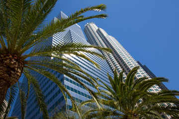 Naklejka premium Downtown LA Los Angeles skyline California palm trees