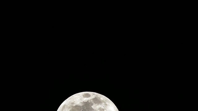 Moon Face 800mm 2