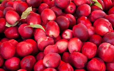 Organic Fresh Ripe Nectarines