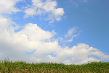 雲の浮かぶ空と草むら
