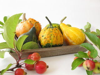 Herbstliche Dekoration mit Zieräpfeln und Zierkürbissen