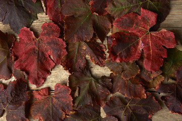 Autumn red grape leaves over wooden background.