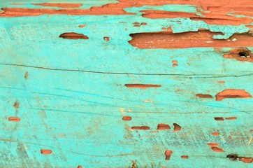 Texture of grunge painted wood - 56503180