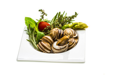 Escargot with asparagus, rosemary, thymus and tomato
