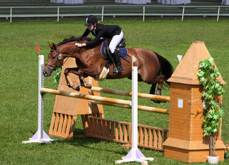 Equestrian sport: show jumping