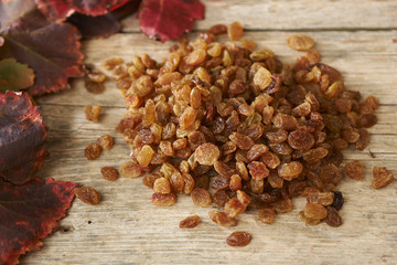 Golden raisins over wooden table with autumn grape leaves