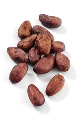 Photo sur Plexiglas Chocolat cocoa beans