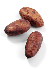 cocoa beans isolated