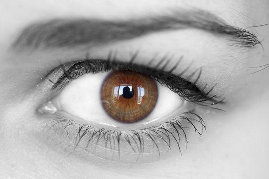 Close up of a brown eyes with reflection.