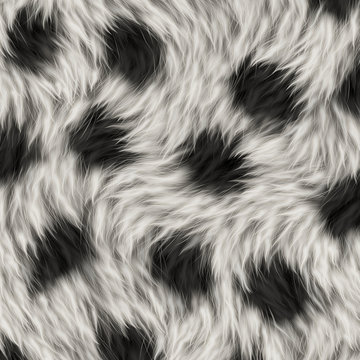 Fur Grey and White with spots
