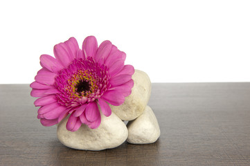 Pile of white stones ornate with pink gerbera