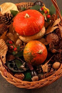 Fall decoration on wooden background