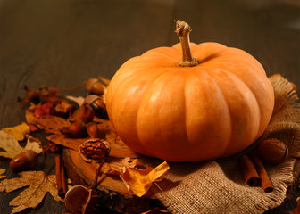 Pumpkin sitting on fall leaves