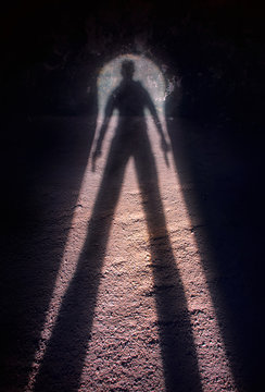 Shadow of a gunman