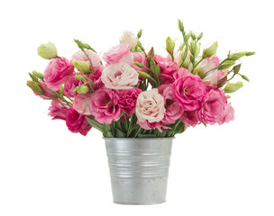 Naklejka na ściany i meble Pink eustoma flowers in metal pot