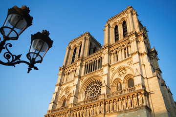 Fototapeta na wymiar Notre Dame, Paryż