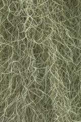 texture