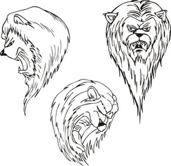 Aggressive lion heads