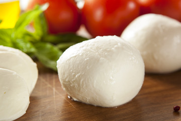 Homemade Organic Mozzarella Cheese