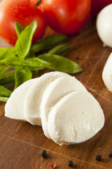 Homemade Organic Mozzarella Cheese