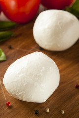 Homemade Organic Mozzarella Cheese