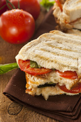 Homemade Tomato and Mozzarella Panini