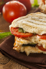 Homemade Tomato and Mozzarella Panini