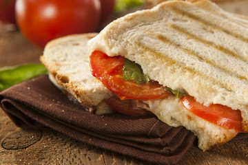Homemade Tomato and Mozzarella Panini