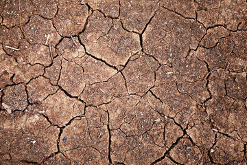 Ground