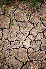 Ground