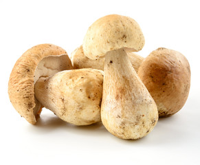 Group of porcini mushrooms on white