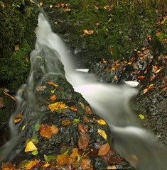 Fototapeta na wymiar Cascade on small mountain stream