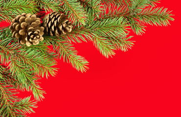 christmas background. fir branches and cones on red