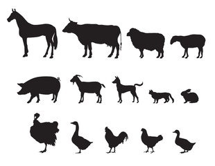 Farm animals vector set. Livestock.