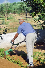 jardinier dans son jardin