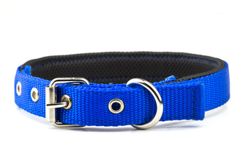 blue dog collar