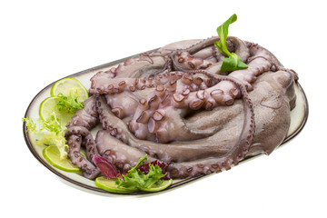 Raw large octopus