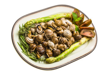 Escargot with asparagus, rosemary, thymus and tomato
