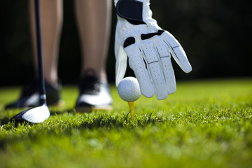 Obraz premium Hand and golf ball
