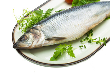 Marinated herring with herbs