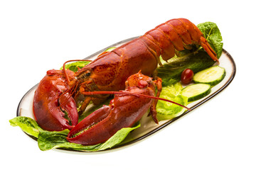 Large Lobster