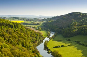 Foto op Plexiglas Idyllic rural landscape, Cotswolds UK © travelwitness