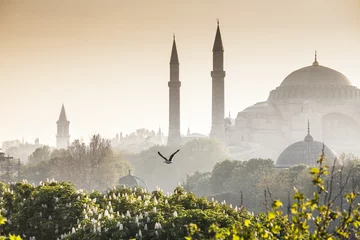 Photo sur Plexiglas moyen-Orient Mosquée Bleue / Mosquée Bleue, Istanbul, Turquie